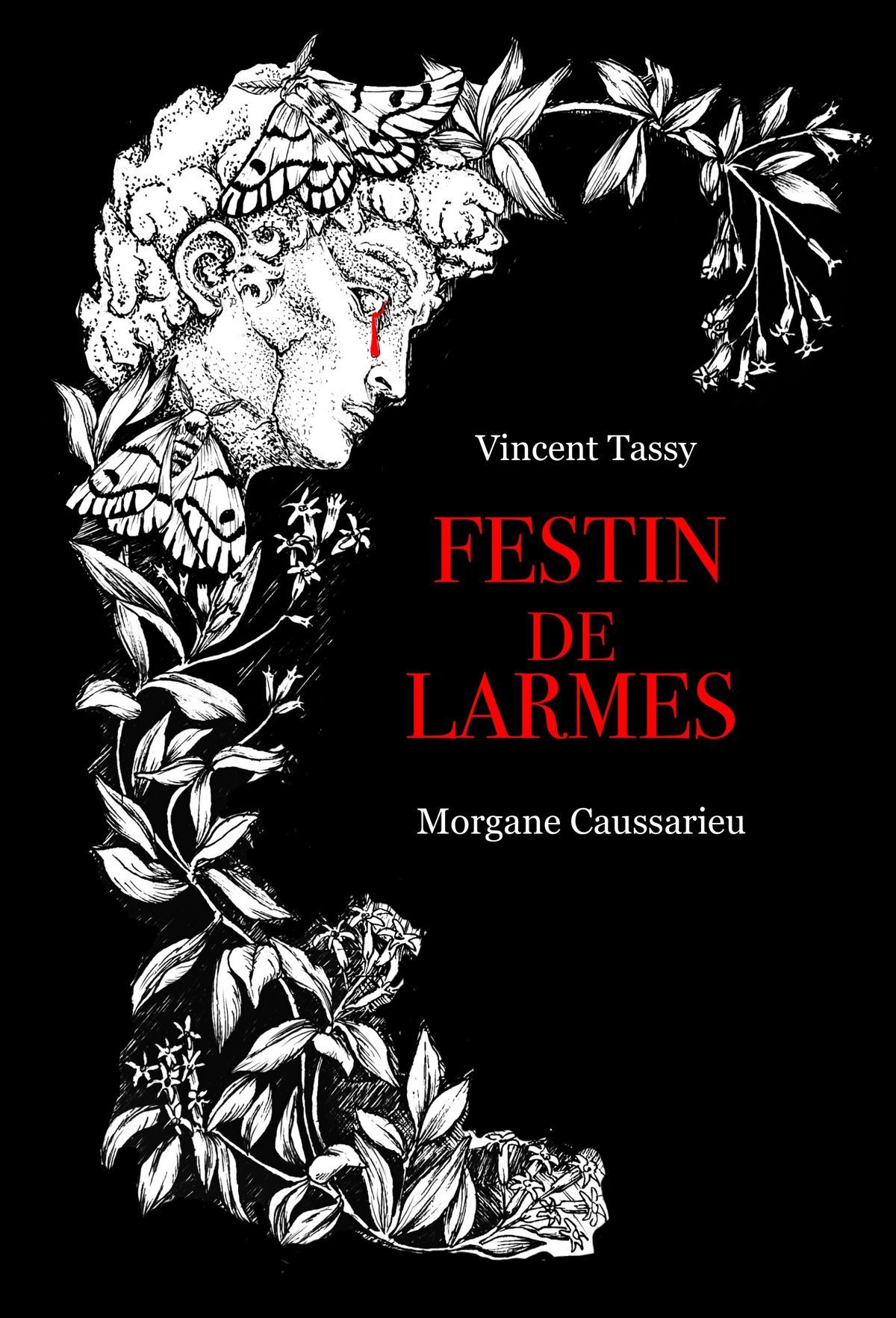 On vous annonce un nouveau roman du duo Morgane Caussarieu / Vincent Tassy : Festin de Larmes !